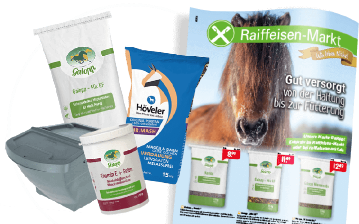 pferde prospekt galopp hoeveler pferdefutter futterbox 800x500